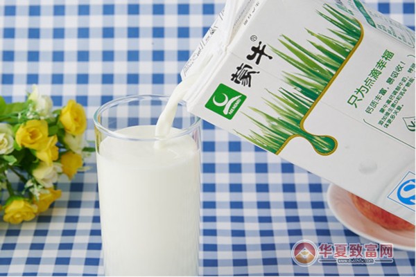 蒙牛牛奶加盟